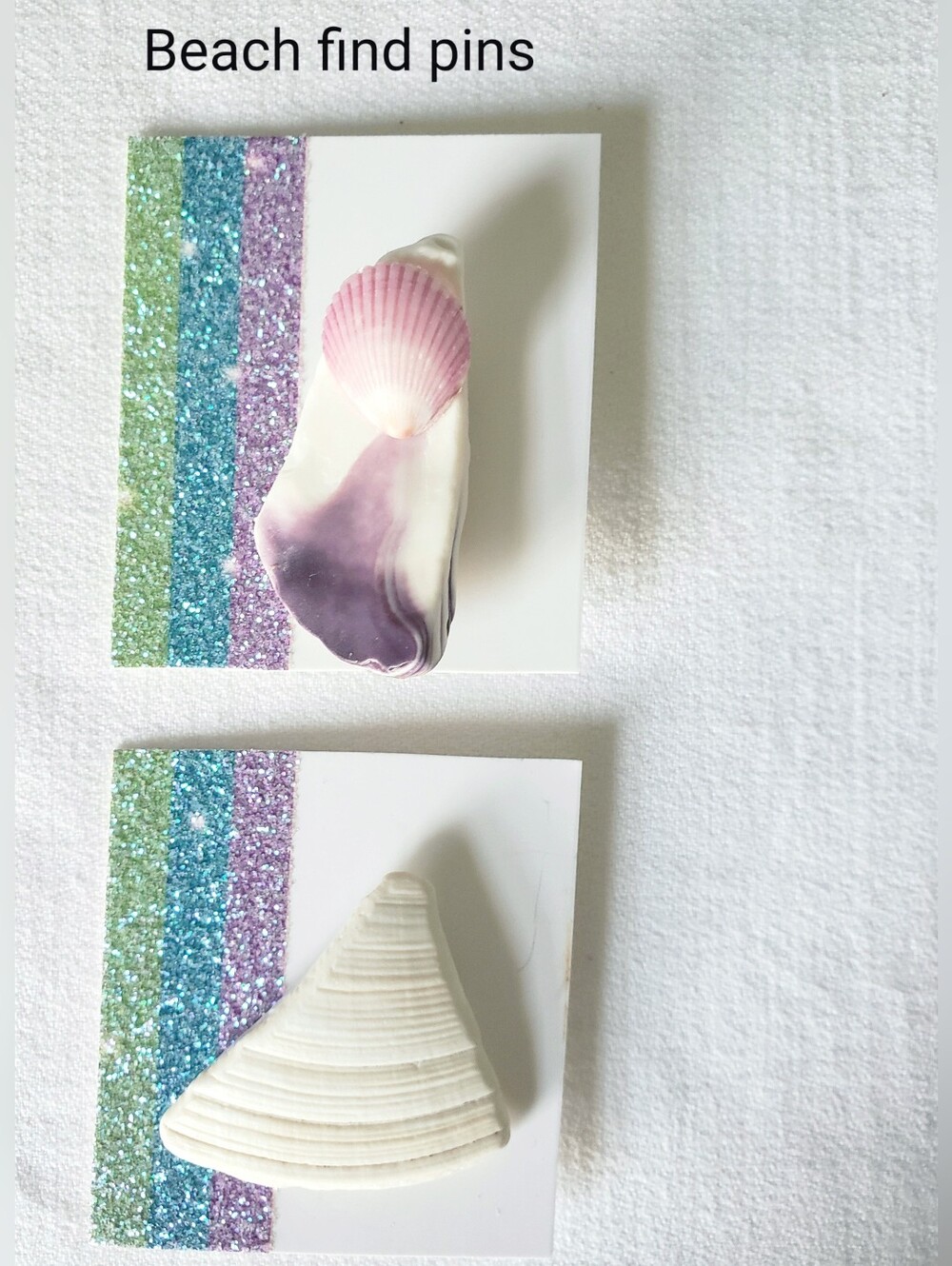 Two Atlantic Ocean Shell Pins